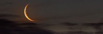 𝒜𝑅𝐼's banner