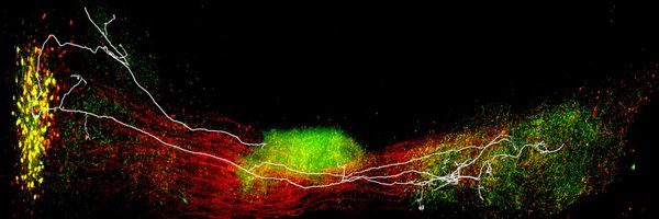 ygparklab Profile Banner