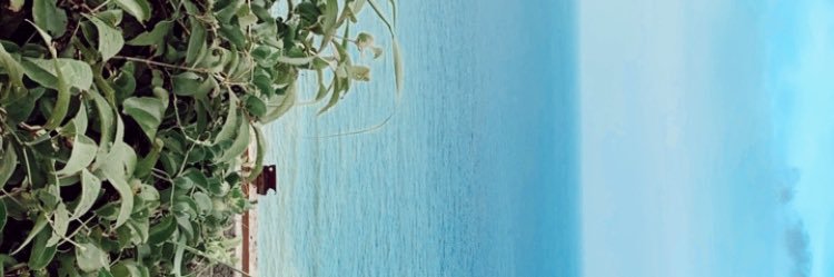 inhwbb's profile banner image