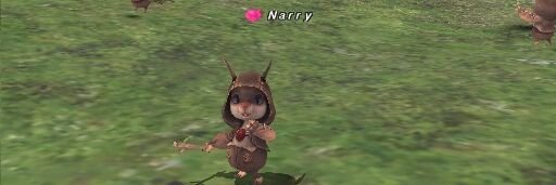 naryco's profile banner image