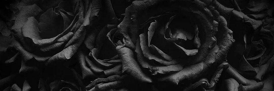 RomysaaMamdouh's profile banner image