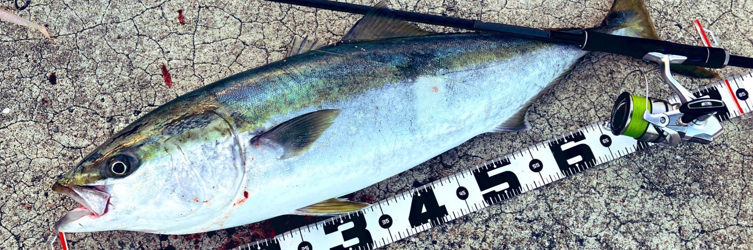 matsu(K.Matsumura) banner