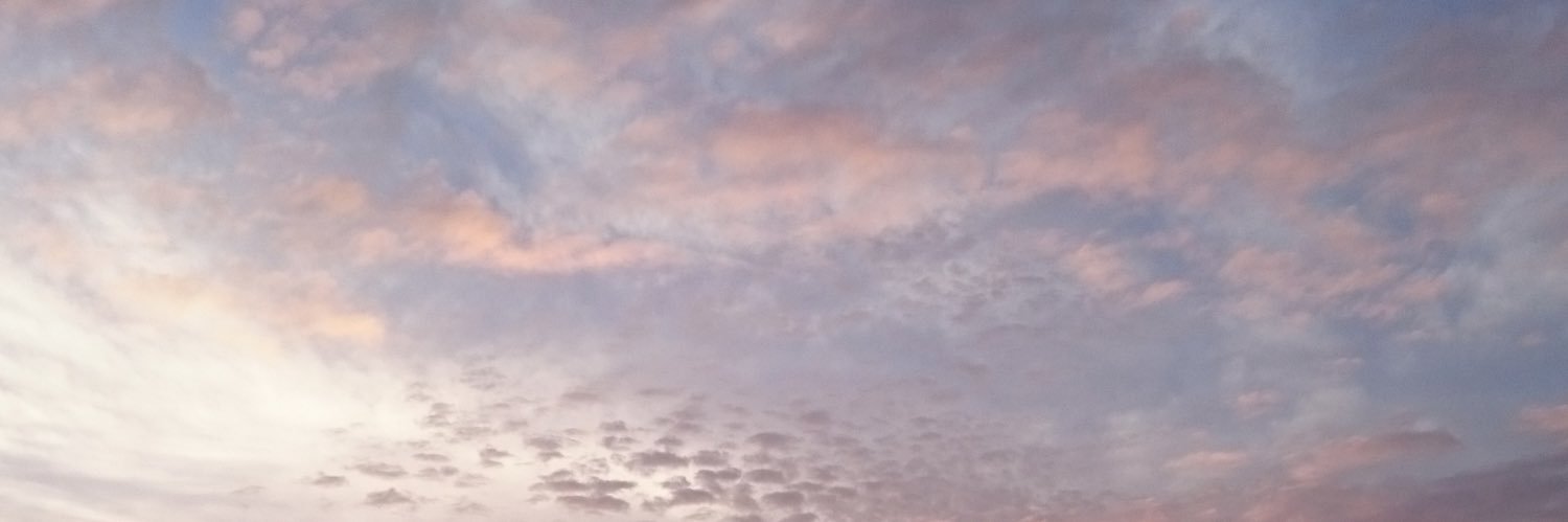 MonLuxe's profile banner image
