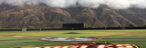 Mt. San Jacinto College Baseball banner
