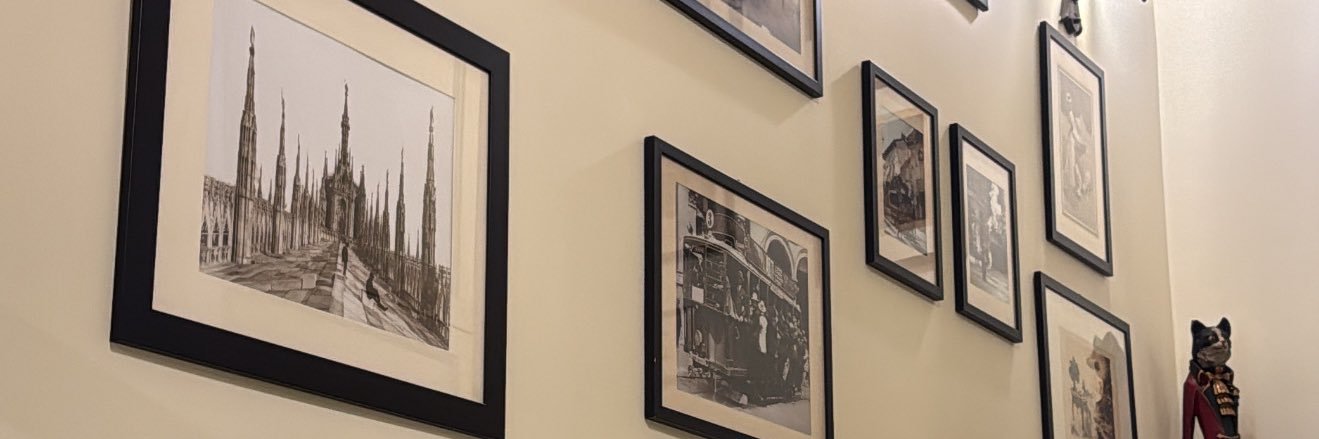 shlxfu's profile banner image