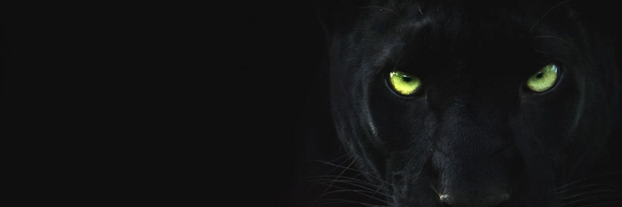 rymro_'s profile banner image