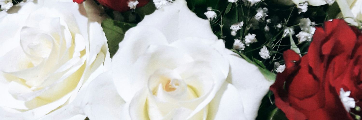 Songlozl's profile banner image