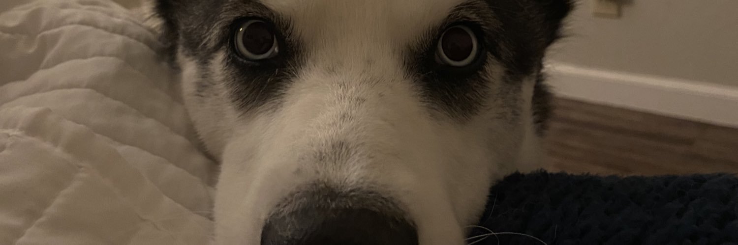 marcotiics's profile banner image