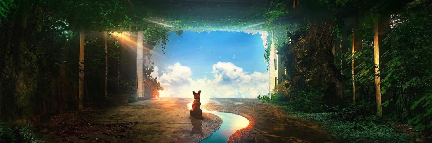 _Wilsxn's profile banner image