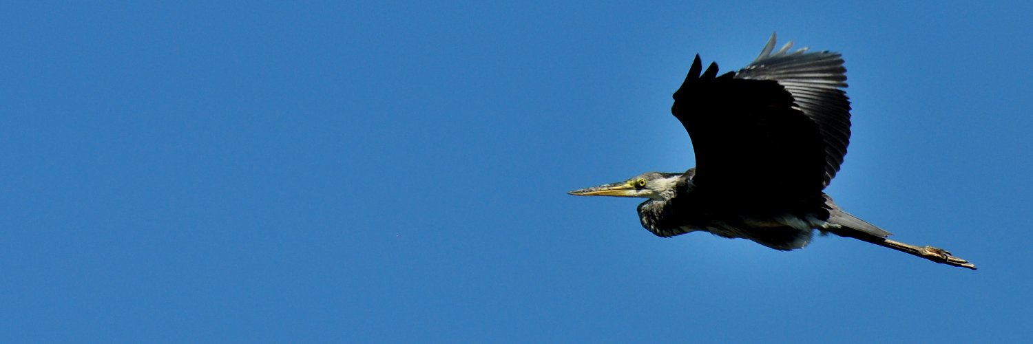 KoseogluOkcu's profile banner image