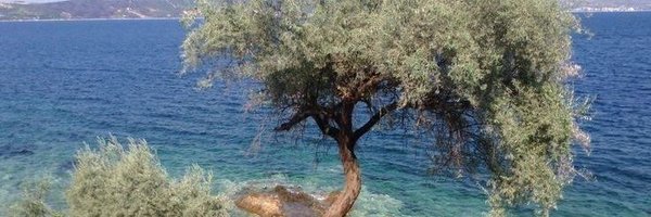 bluepaints Profile Banner