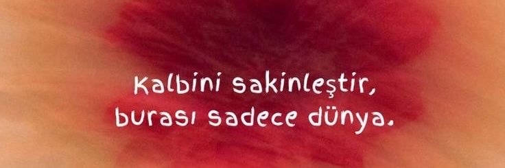 meliskadioglu_'s profile banner image