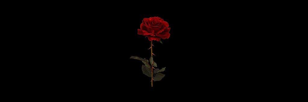3b_6a's profile banner image