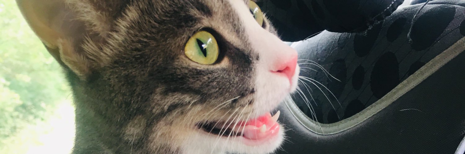 birihepici's profile banner image