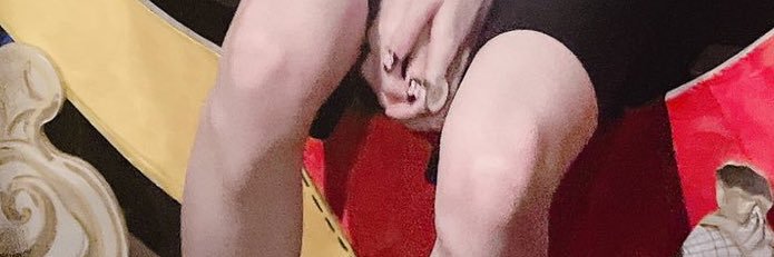 puipui_meru's profile banner image
