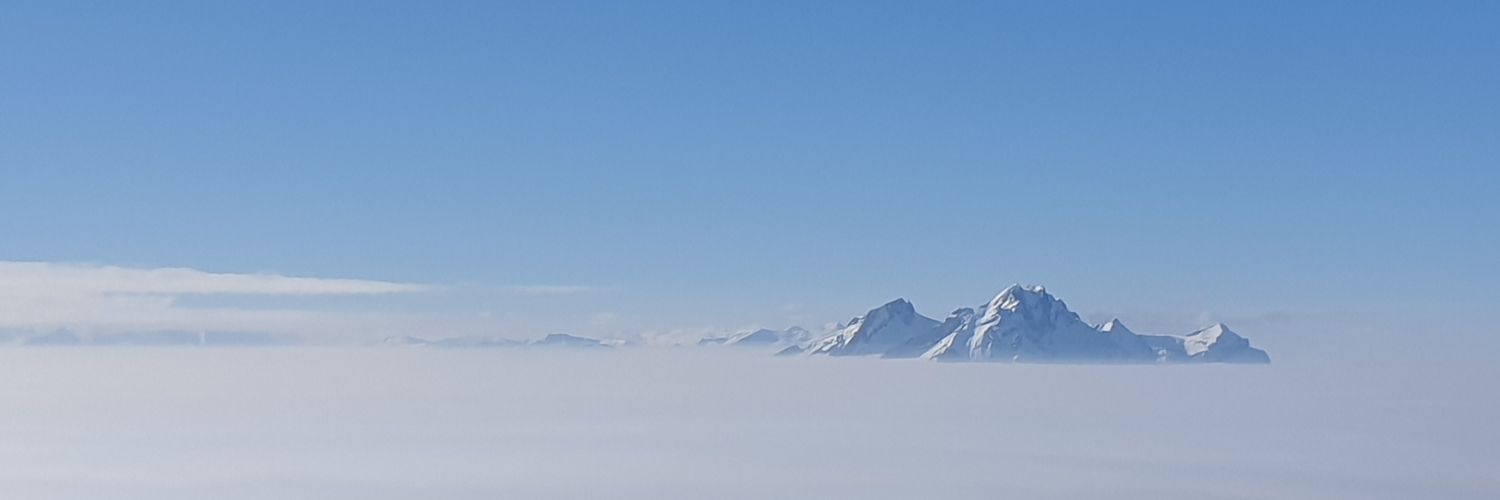 Androide2307 banner