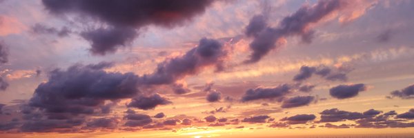 SamStuartLandD Profile Banner