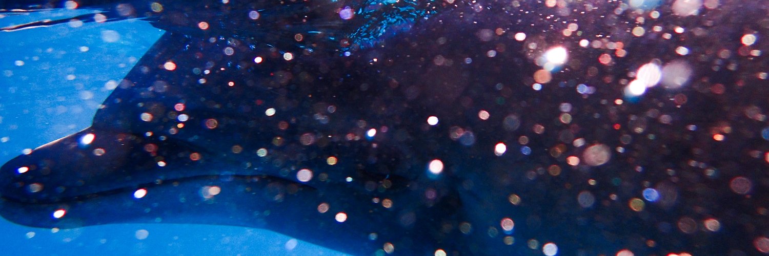 cetacean needed banner