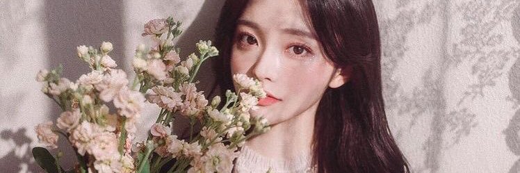 ดาวเหนือ💫 banner