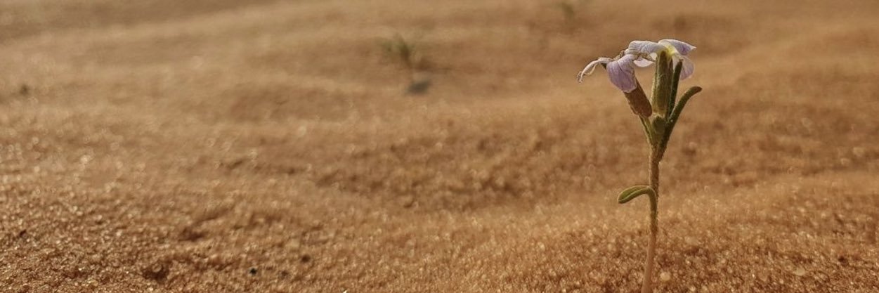 samii_alazmi's profile banner image