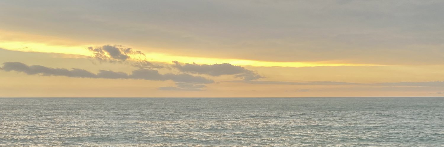 nfernandatanori's profile banner image