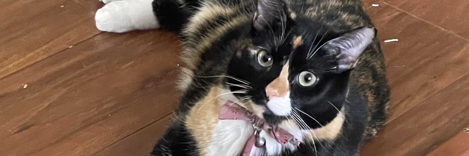 kittensheriff's profile banner image