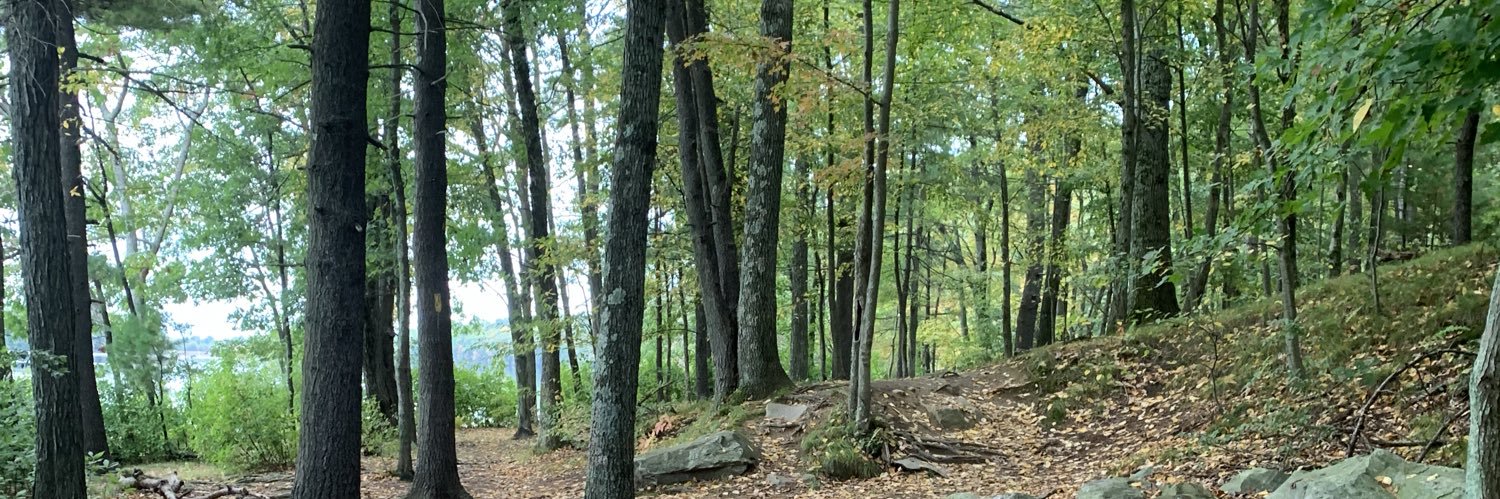 Julianne Topliffe banner