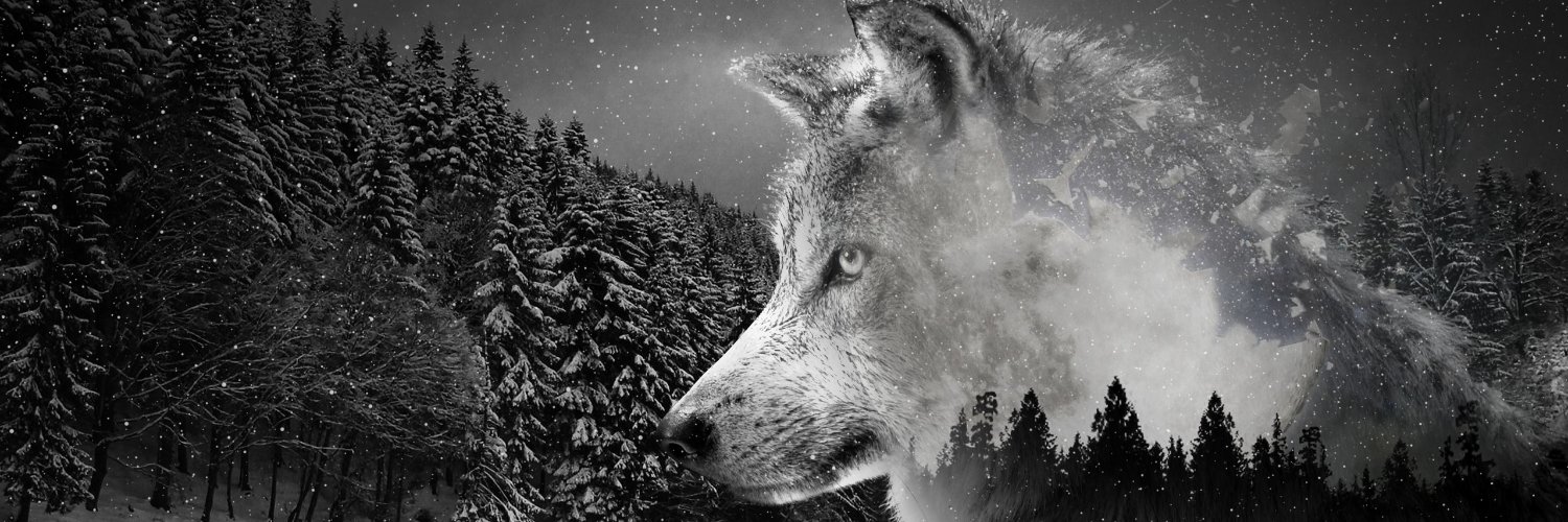 argentymoon's profile banner image