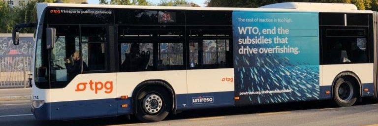 Isabel Jarrett banner