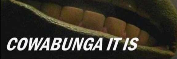 Nincent01 banner