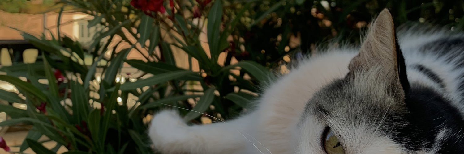 juu_lss's profile banner image