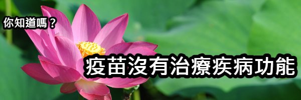 gobedearly's profile banner image