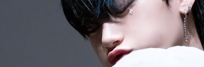 san banner