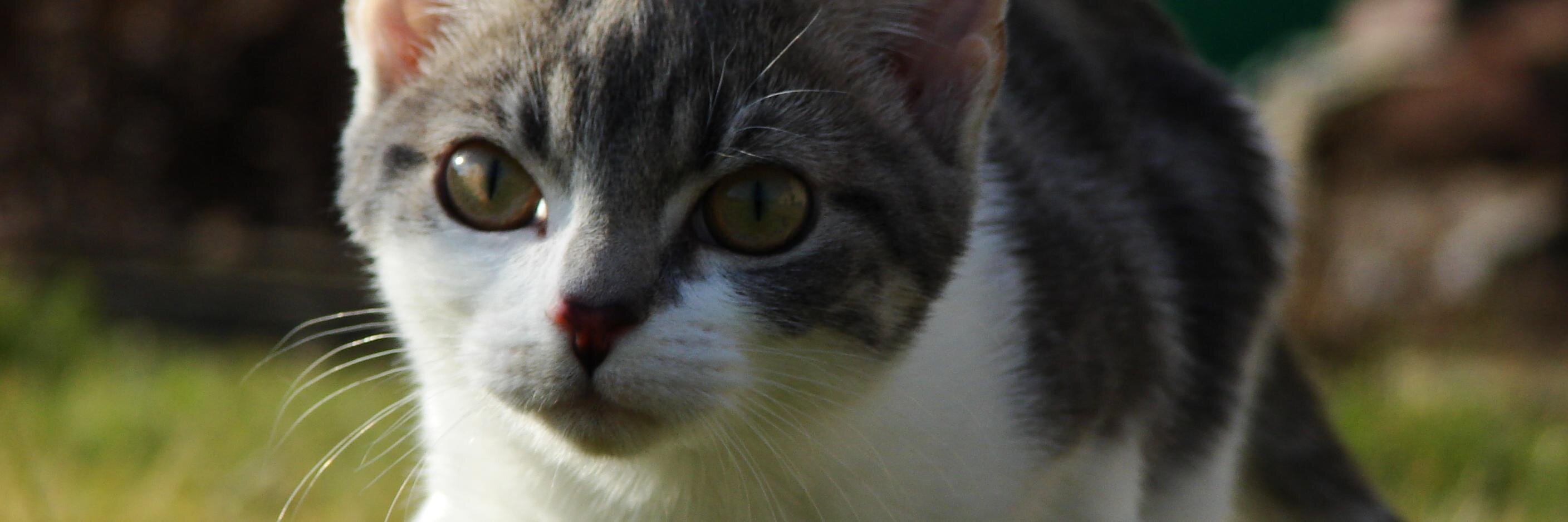 Uziell_uk's profile banner image