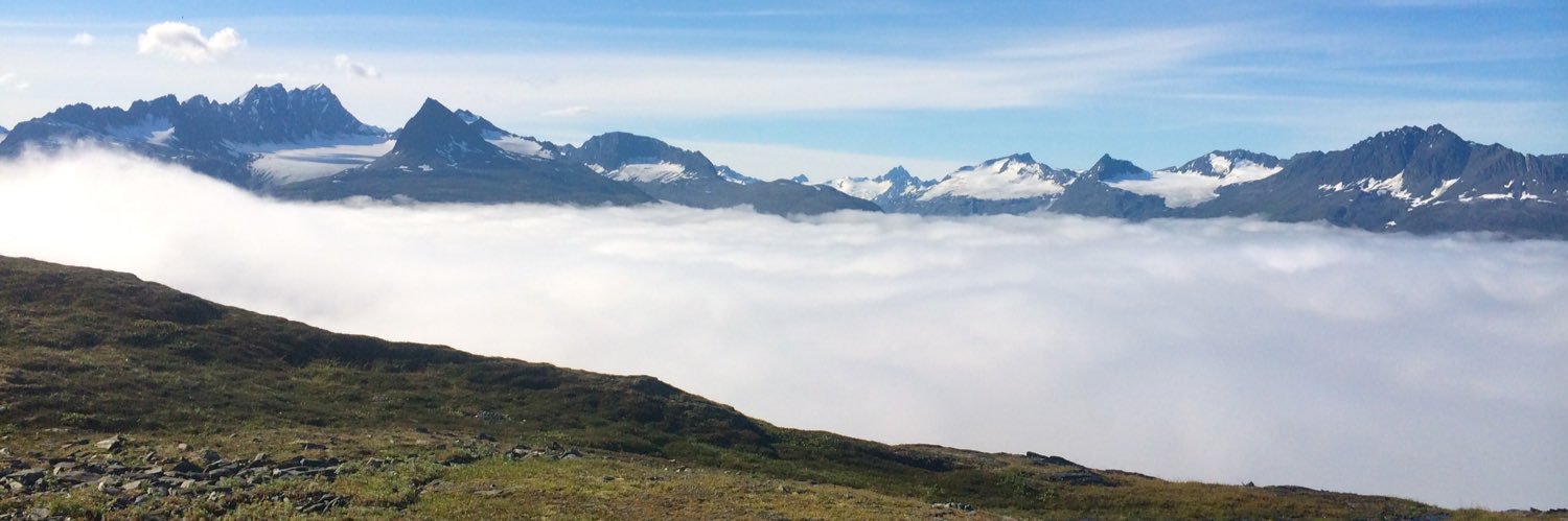 Nathalie Isabelle Chardon (she/her)'s banner