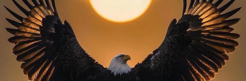 Darken_R's profile banner image