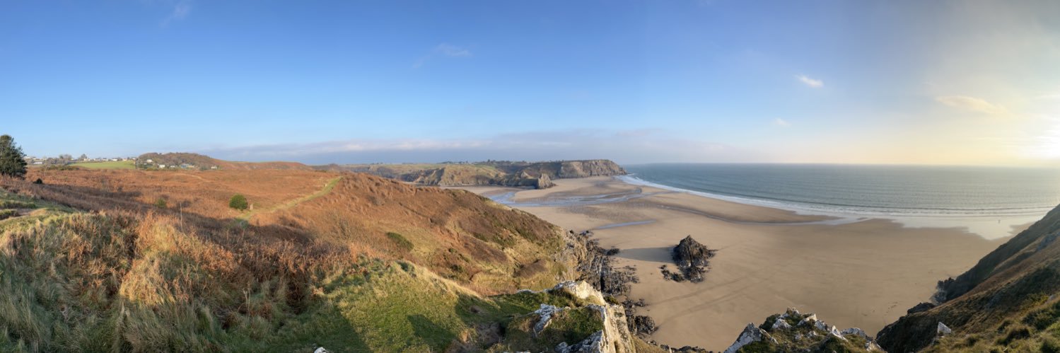 Marley Bushell banner