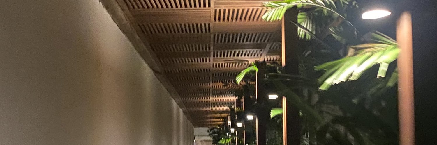 DONASAURS's profile banner image