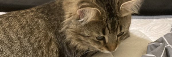 SalmaKe_mohamed Profile Banner