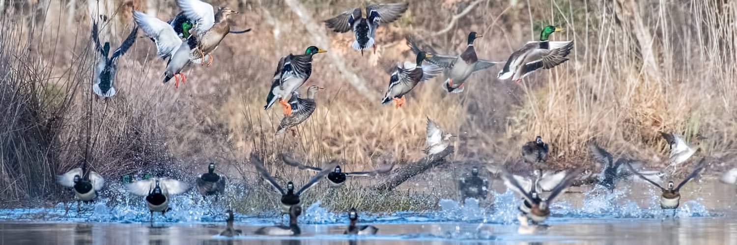 SwarkOutdoors's profile banner image