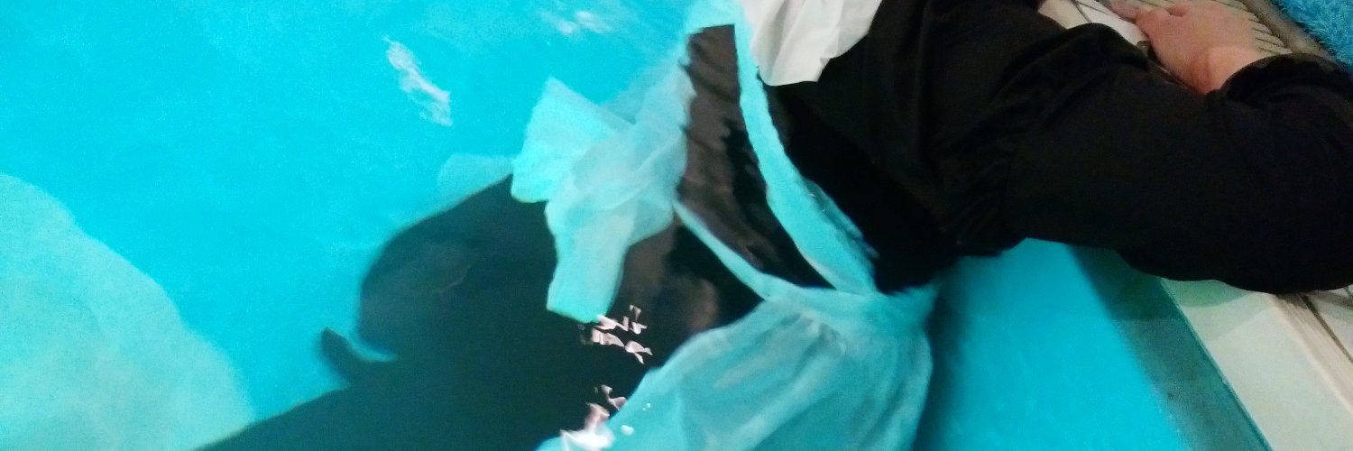 鳴瀬(nuresuki) banner