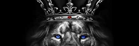 Everyone's favorite Val banner