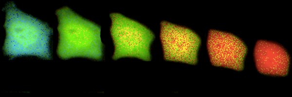 GAVETLab Profile Banner