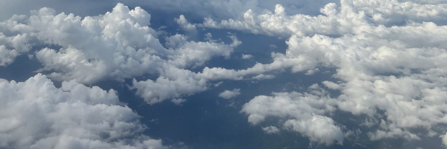 lauramgrn's profile banner image