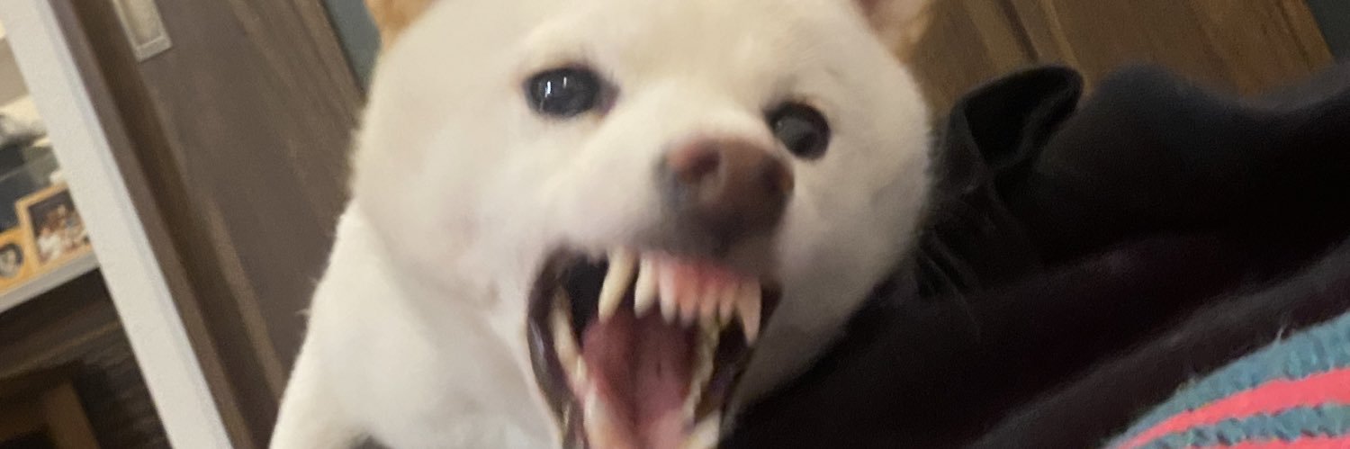 林 萌々子 banner