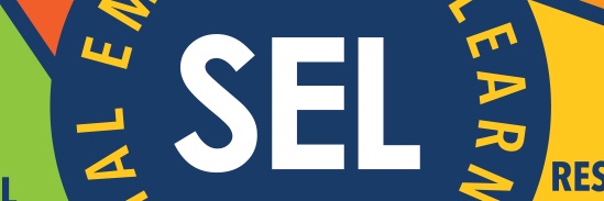 DSDSEL banner
