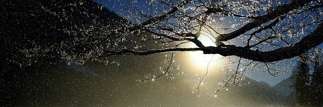 チーチー♪ banner