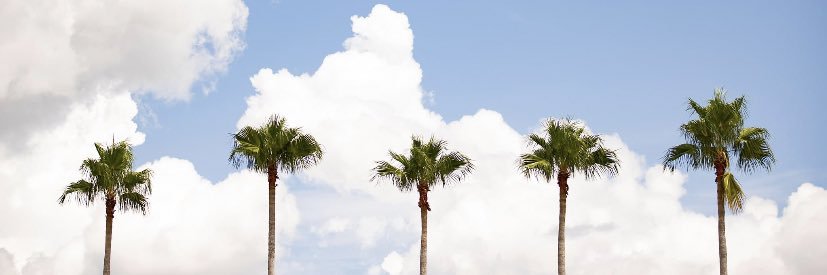 ChristaMerix's profile banner image