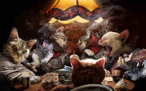Bad Kitty Unleashed 🦁 💪🏻's banner