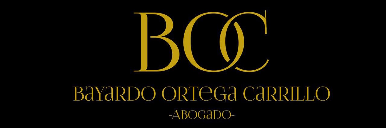 CarrilloBayardo's profile banner image
